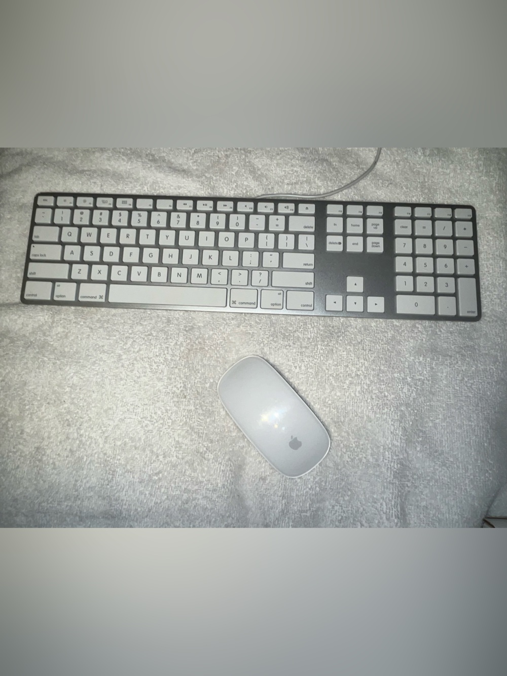 Apple Silver & White Wired Keyboard with White Magic Mouse